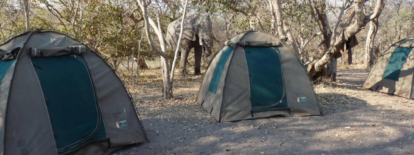 Botswana Elephant Safari 15 days Caprivi Tsodilo Hills Okavango Moremi Chobe Victoria Falls