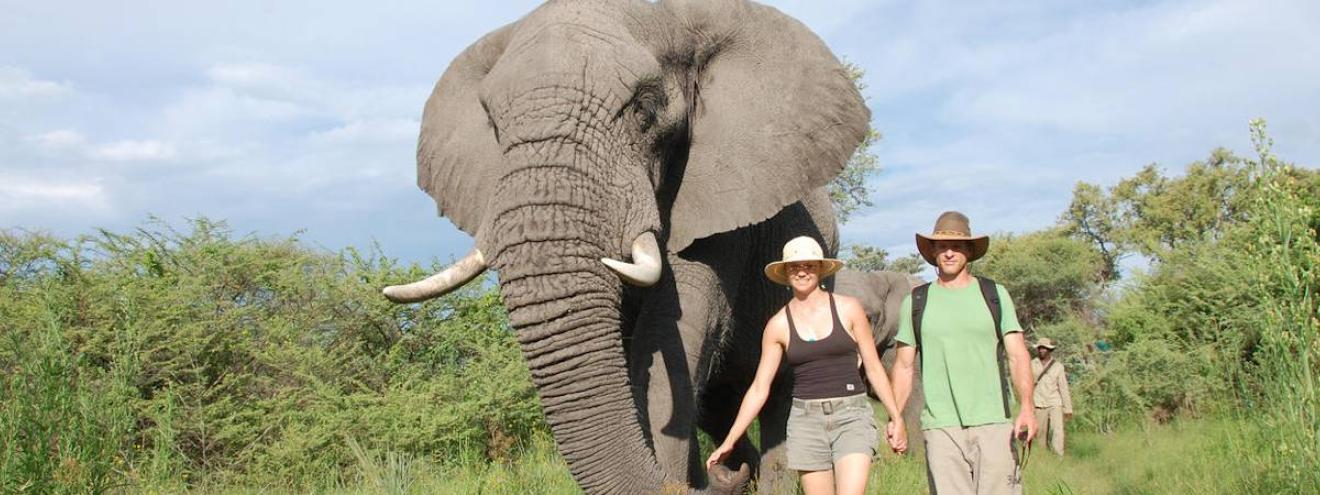 Botswana Honeymoon Spa Safari that perfect romantic Botswana Fly In Safari