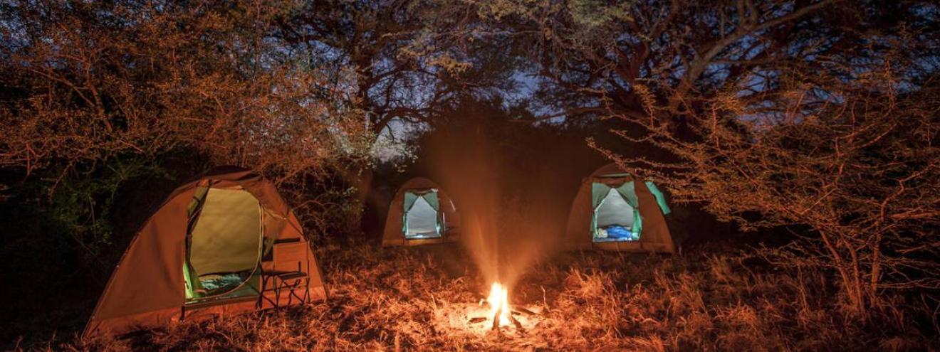 Botswana Kalahari Safari 7 days Central Kalahari Game Reserve San Bushmen desert wildlife