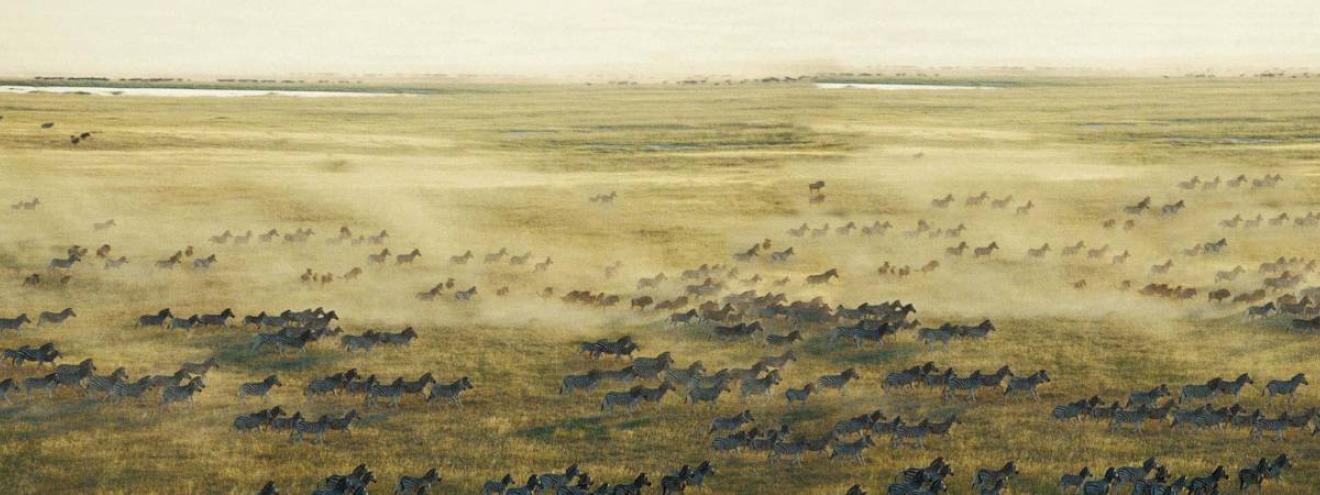 https://www.uyaphi.com/botswana/safaris/luxury-tented/central-kalahari-mobile-safari