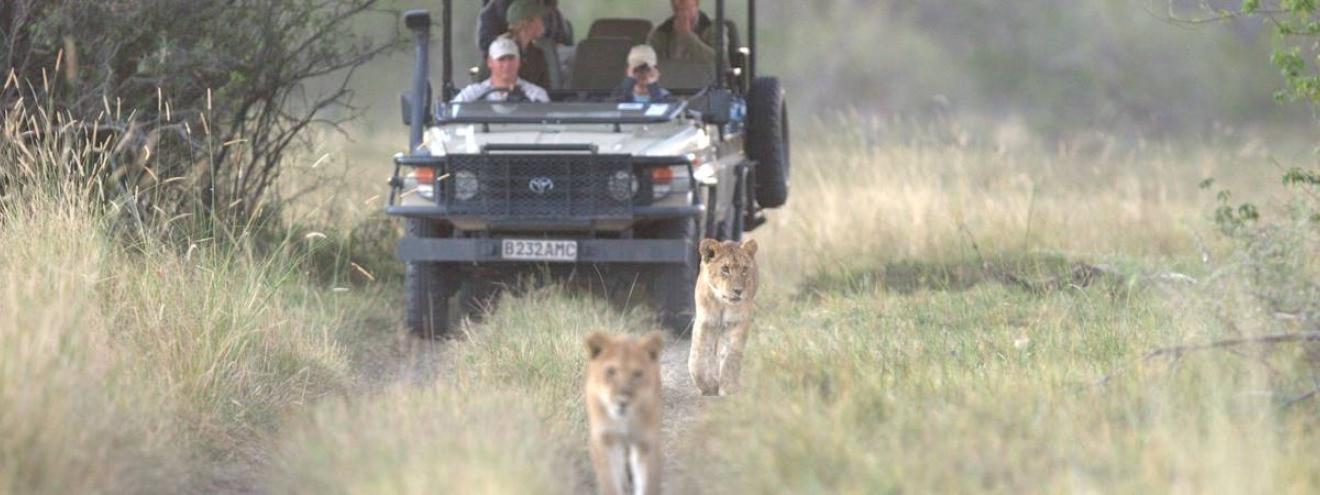 Delta Miracle Safari 10 days Xaxaba Xakanaxa Khwai Moremi Okavango mobile camping Botswana