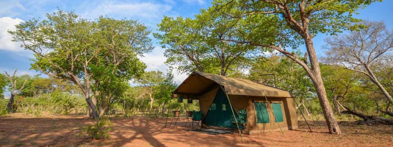 Discover Moremi Chobe Safari 7 days fly-in luxury tented Botswana Xinii Sedudu Gate