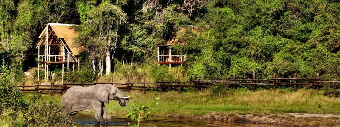 Savute Delta Family Safari 5 days Camp Okavango Savute Safari Lodge fly-in Botswana
