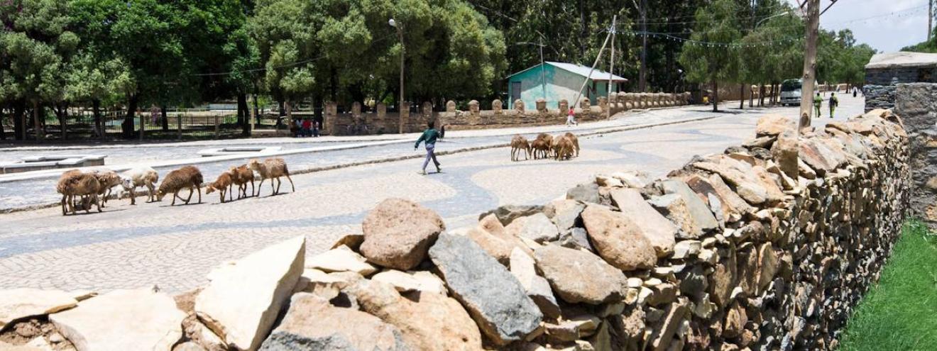 Town of Axum Ethiopia magical ancient friendly small town Northern Historical Route Bajaji