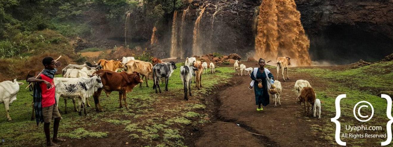 Blue Nile Falls Tis Isat Ethiopia 40m high 700m wide full flood 60 minutes Bahir Dar