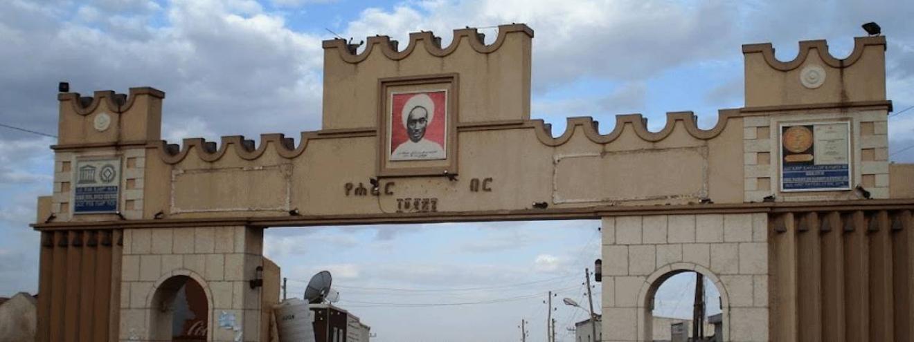 Eastern Ethiopia Safari 3 days Harar walled city hyena man fly-in Dire Dawa