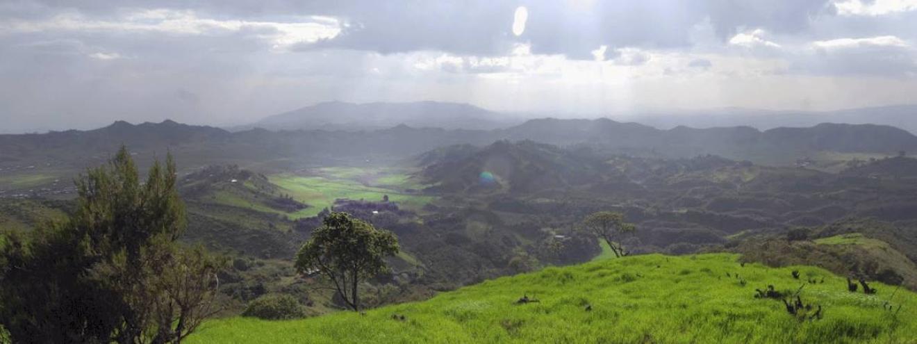 Simien Mountain Trekking 4 days Sankober Imet Gogo 3926m Gelada baboon UNESCO Ethiopia