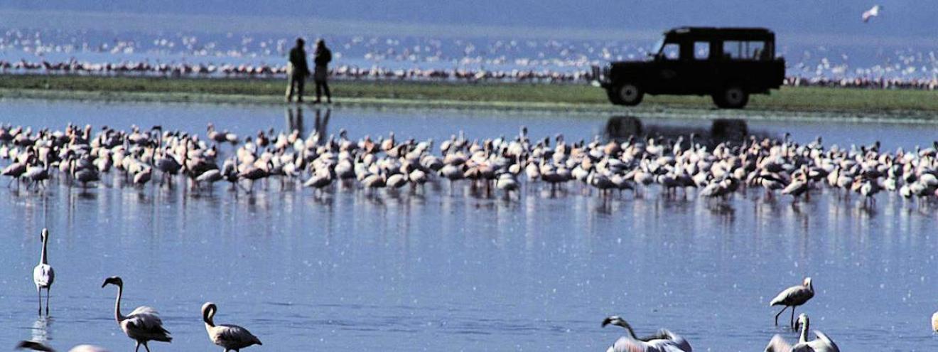 Lake Naivasha National Park