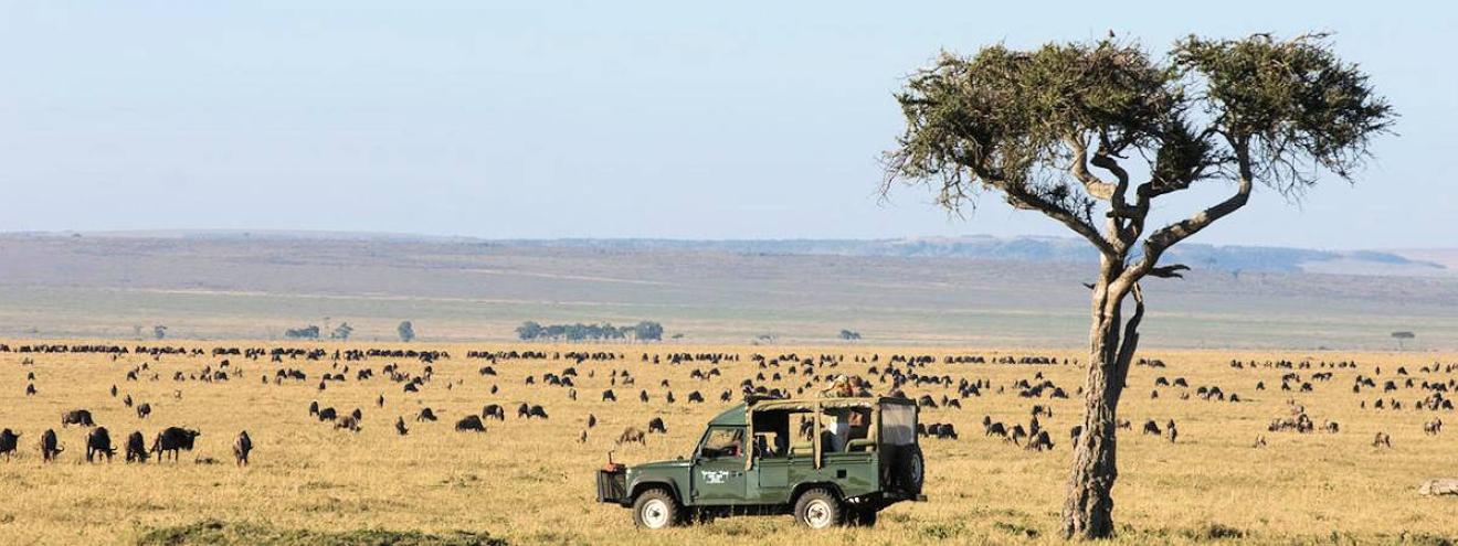 Masai Mara National Reserve