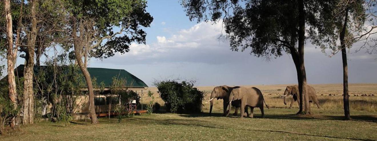 Governor's Sky Safari your 6-Day Masai Mara safari