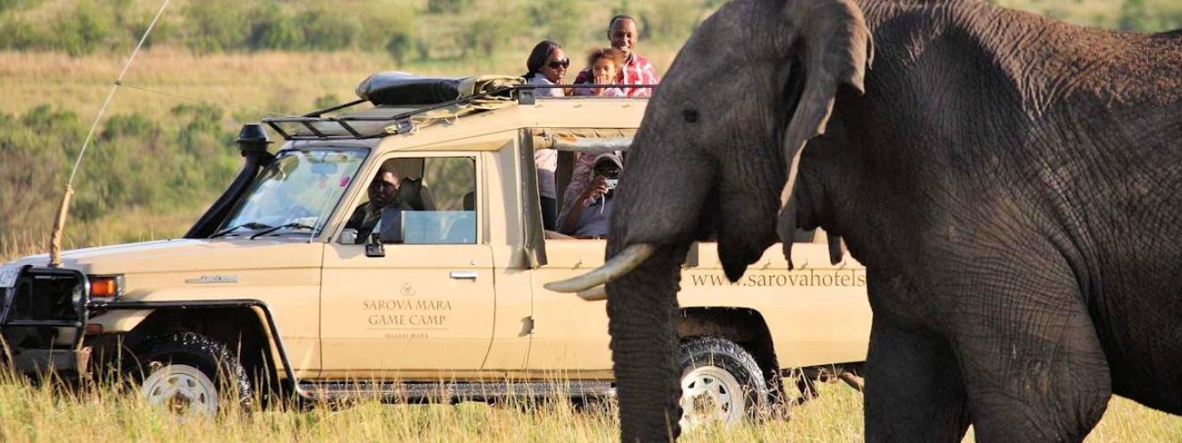 The 7-Day Classic Highlights of Kenya Safari
