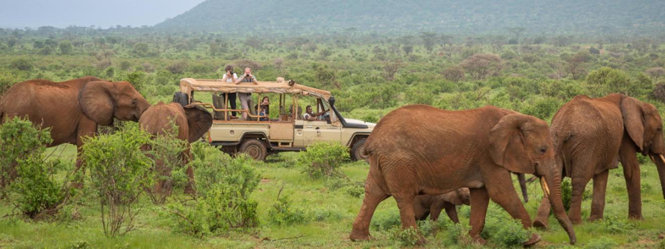 Kenya Explored Safari is a 9-day safari in Kenya