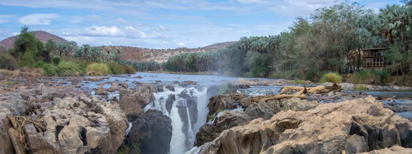 Epupa Falls Kunene River Namibia Angola border Kaokoveld makalani palms birdlife