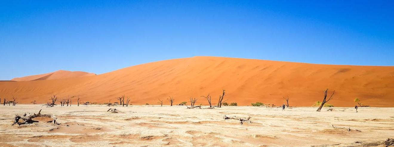 Sossusvlei world's highest orange sand dunes Deadvlei Namib Desert Namibia photography