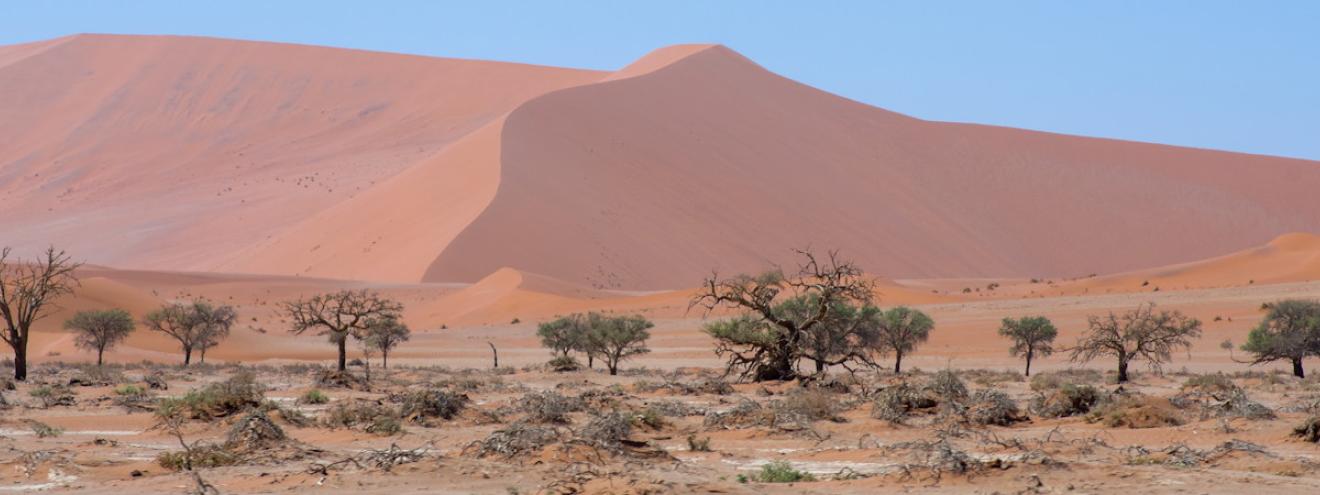 Sossusvlei Deadvlei 300m red orange dunes world's highest Namib Desert Namibia