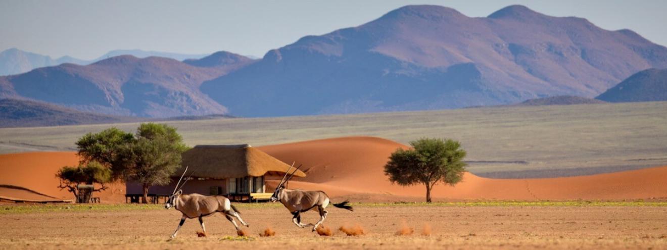 Kwessi Dunes Camp an exclusive Namib Desert Dunes Camp