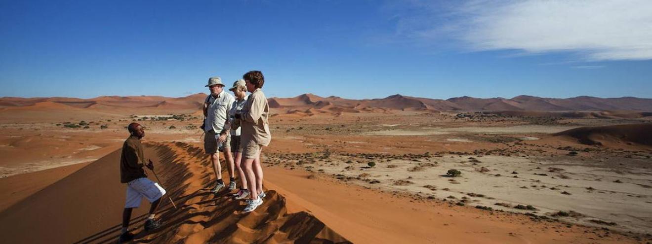 Namibian Highlights fly-in safari 10 days Little Kulala Damaraland Ongava Etosha Namibia
