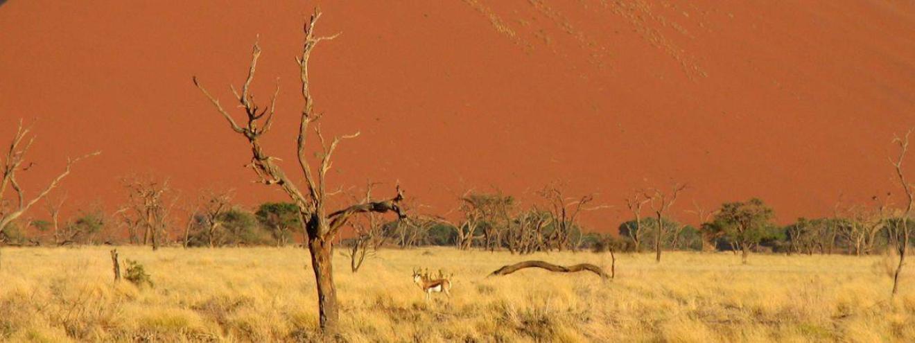 Windhoek to Victoria Falls Safari 15 days Namibia Botswana Zimbabwe camping Chobe
