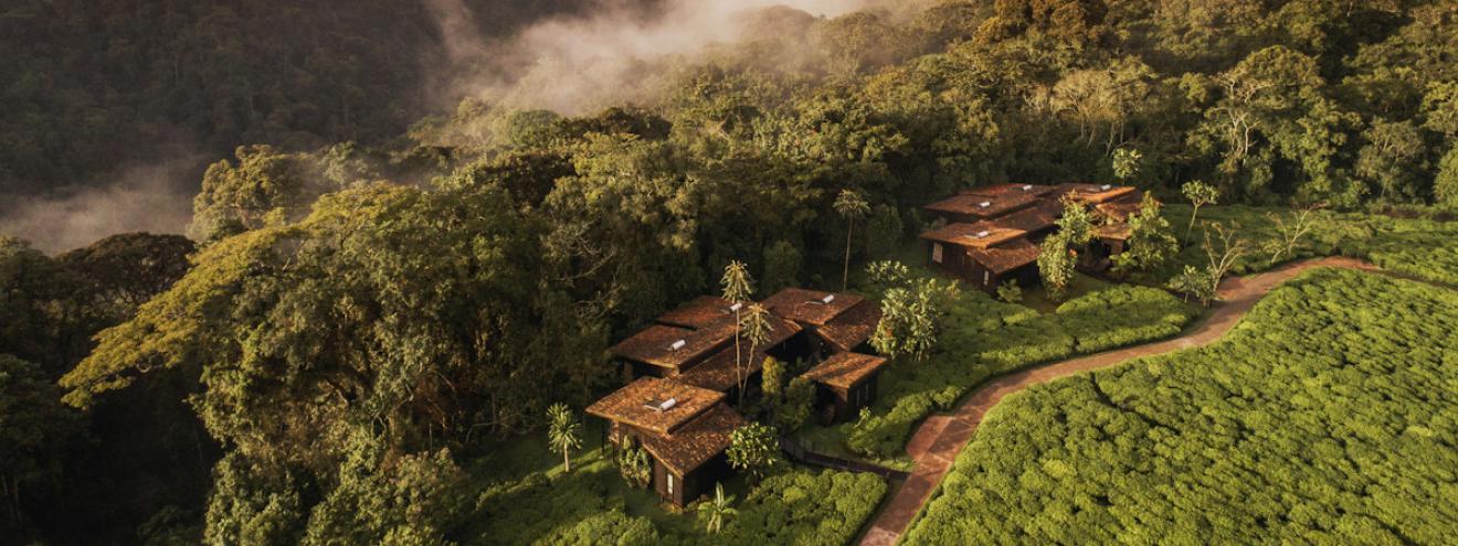 One&Only Nyungwe House 22 rooms suites 8 villas tea plantation Nyungwe National Park Rwanda