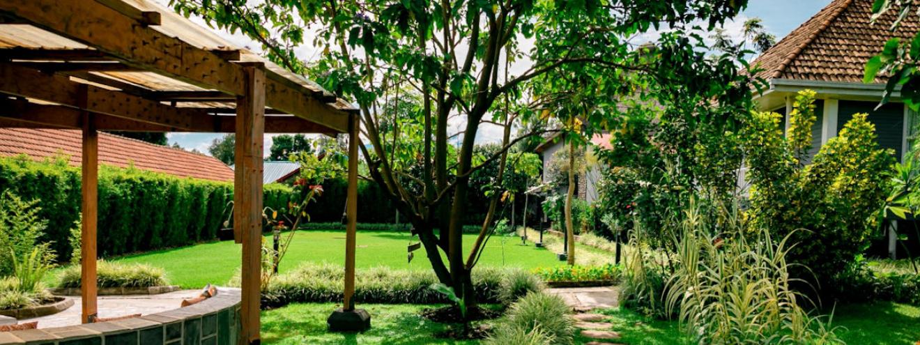 Tiloreza Volcanoes Ecolodge Kinigi Rwanda thatched lodge buildings gardens Virunga mountains backdrop near Volcanoes National Park