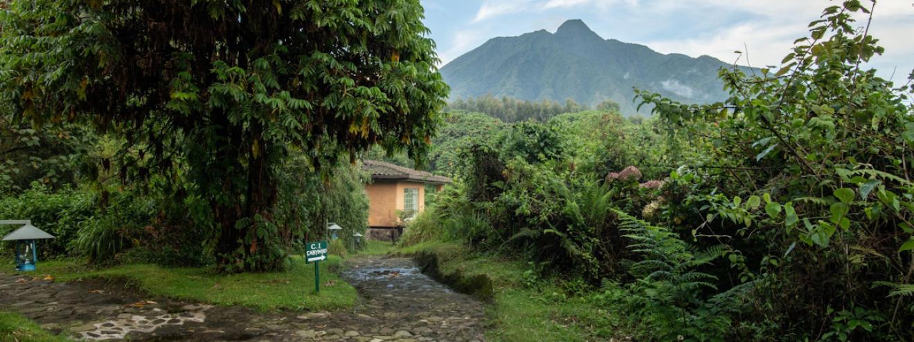 Wilderness Sabyinyo Silverback Lodge 9 rooms suites Virunga Massif gorilla trekking Rwanda