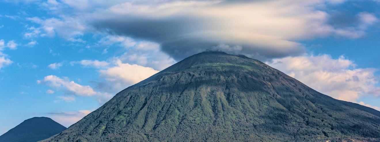 Rwanda Gorilla Safari 6 days Virunga Lodge Volcanoes National Park golden monkey