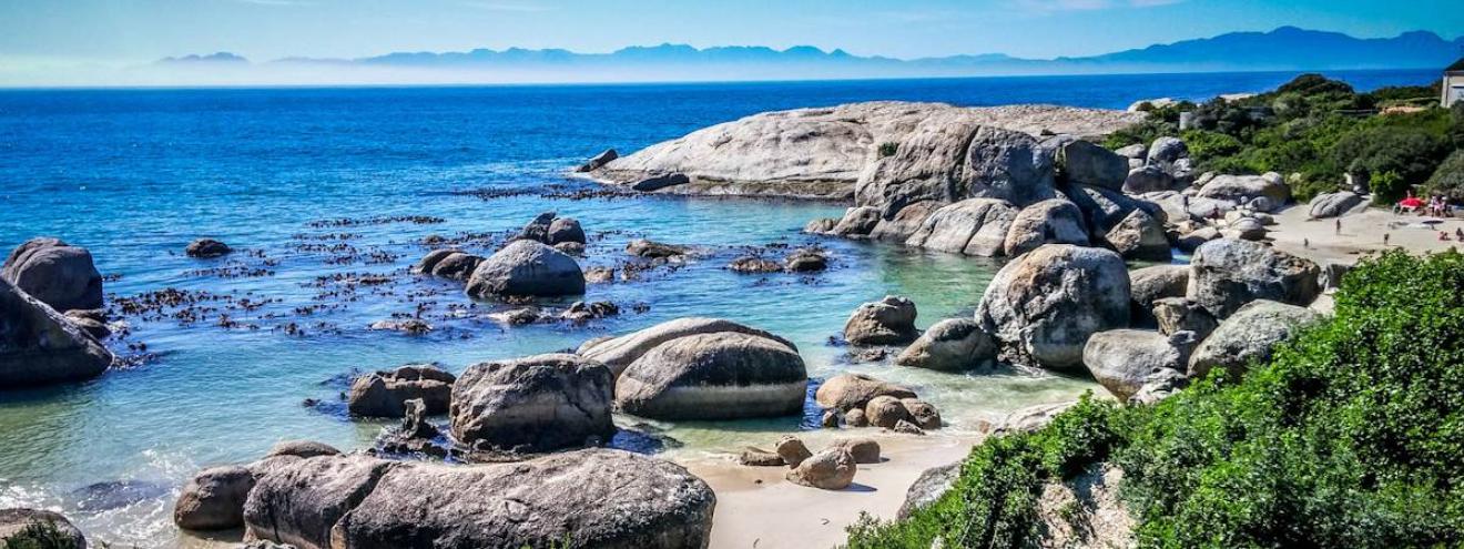 African penguins at Boulders Beach Simon's Town Cape Town South Africa