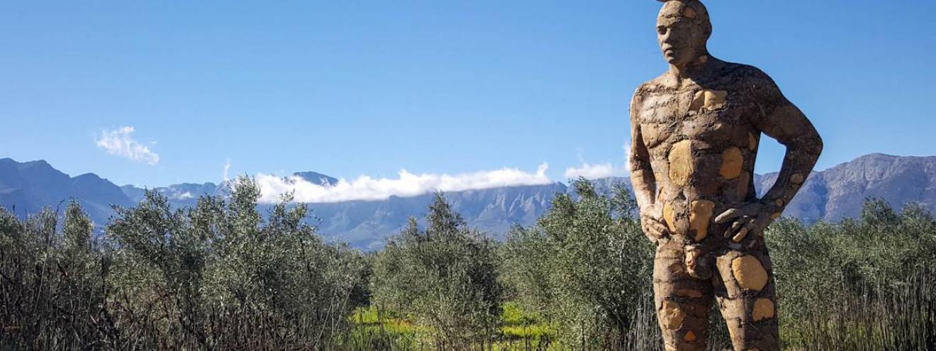 Saronsberg Wine Estate art gallery and wine tasting Tulbagh Western Cape South Africa