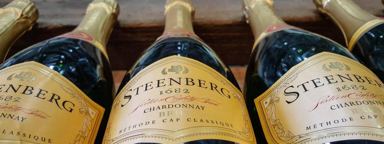 Steenberg Wine Estate Constantia wine tasting Cape Town South Africa