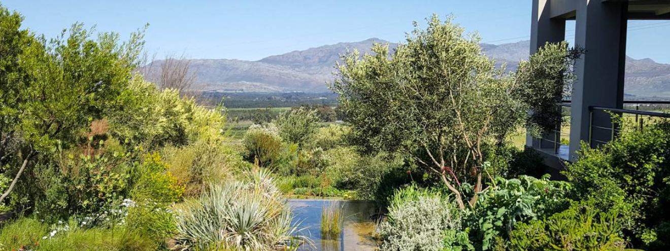 Waverley Hills Wine Estate low-sulphite organic wines Wolseley Tulbagh Western Cape South Africa