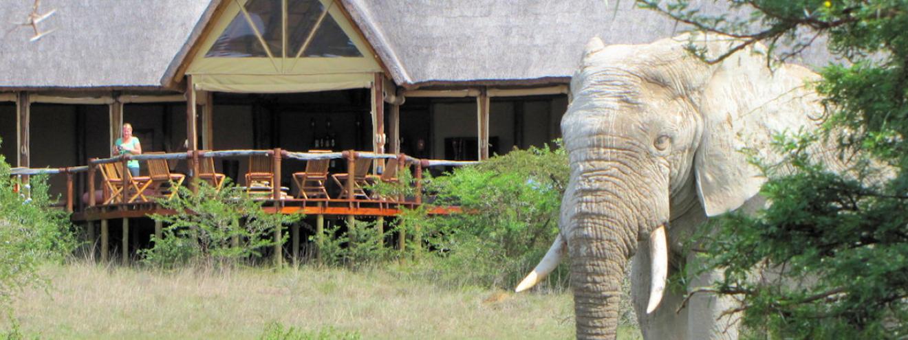 Amakhala Bush Lodge five-star tented safari lodge Amakhala Private Game Reserve Eastern Cape