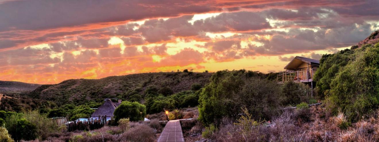 Amakhala Hillsnek Lodge intimate tented safari camp Amakhala Game Reserve Eastern Cape South Africa