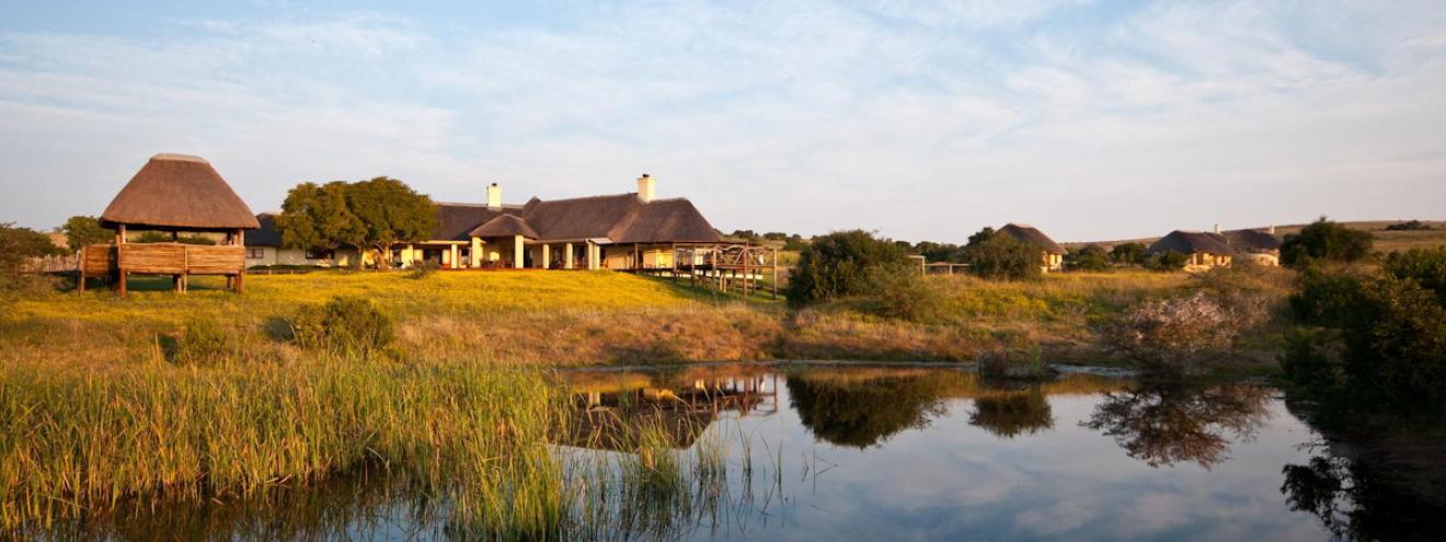 Amakhala Hlosi Lodge luxury thatched safari lodge Amakhala Private Game Reserve Eastern Cape