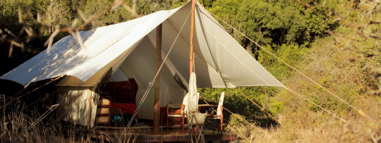 Amakhala Quatermain's Camp classic 1920s expedition tented safari camp Amakhala Game Reserve Eastern Cape
