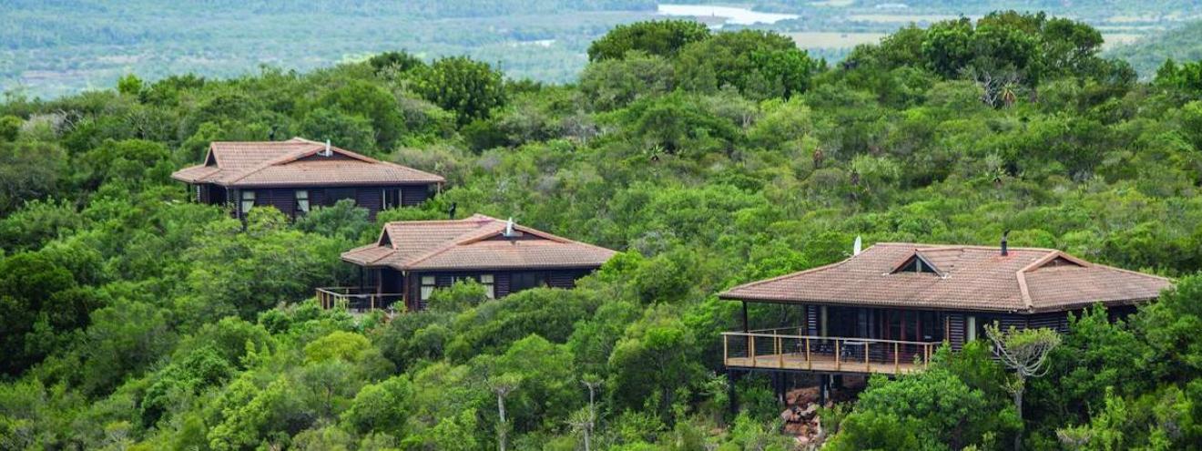 Kariega Main Lodge hilltop Big Five safari lodge Kariega Private Game Reserve Eastern Cape