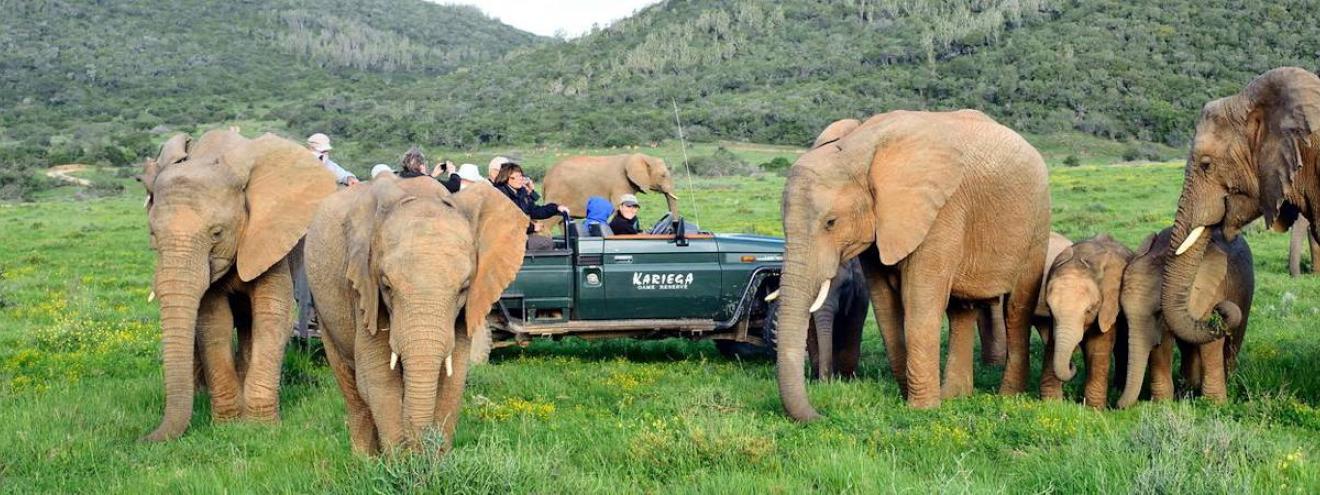 Kariega Ukhozi Lodge romantic couples safari lodge hilltop Kariega Private Game Reserve Eastern Cape