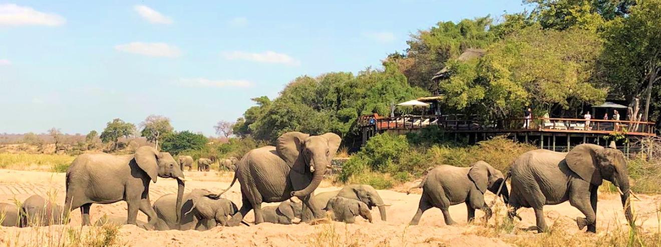 Jock Safari Lodge in a Kruger National Park Private Concession