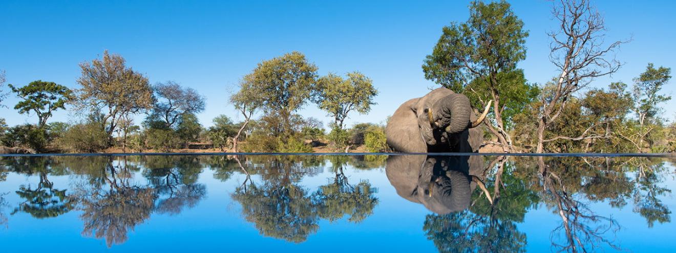 Kambaku River Sands in the Timbavati Private Nature Reserve