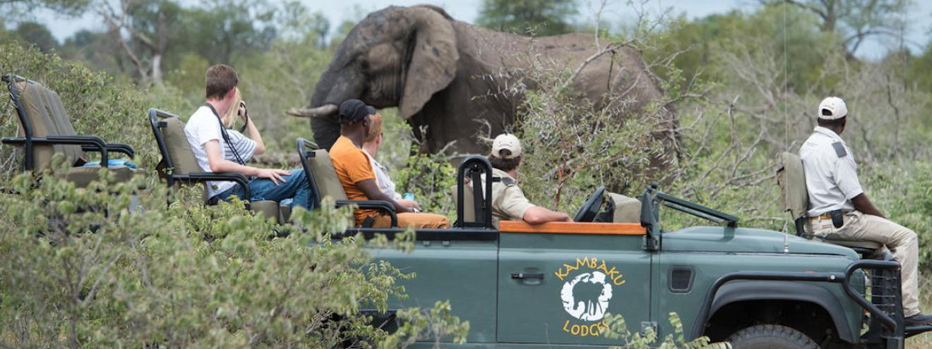 Kambaku Safari Lodgein the Timbavati Private Nature Reserve