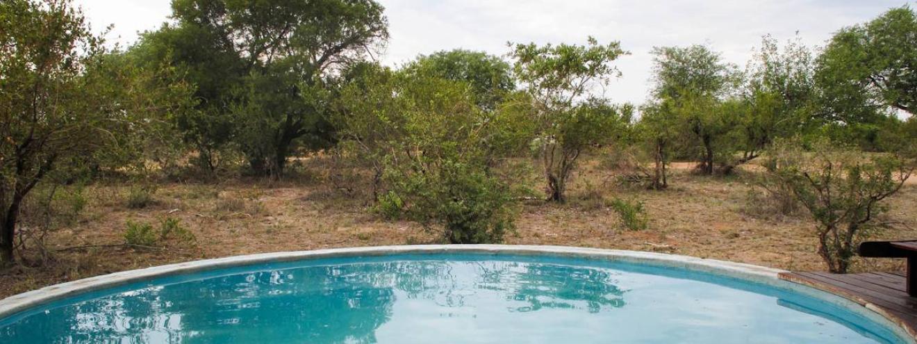 Africa On Foot walking safari lodge Klaserie Game Reserve Greater Kruger South Africa
