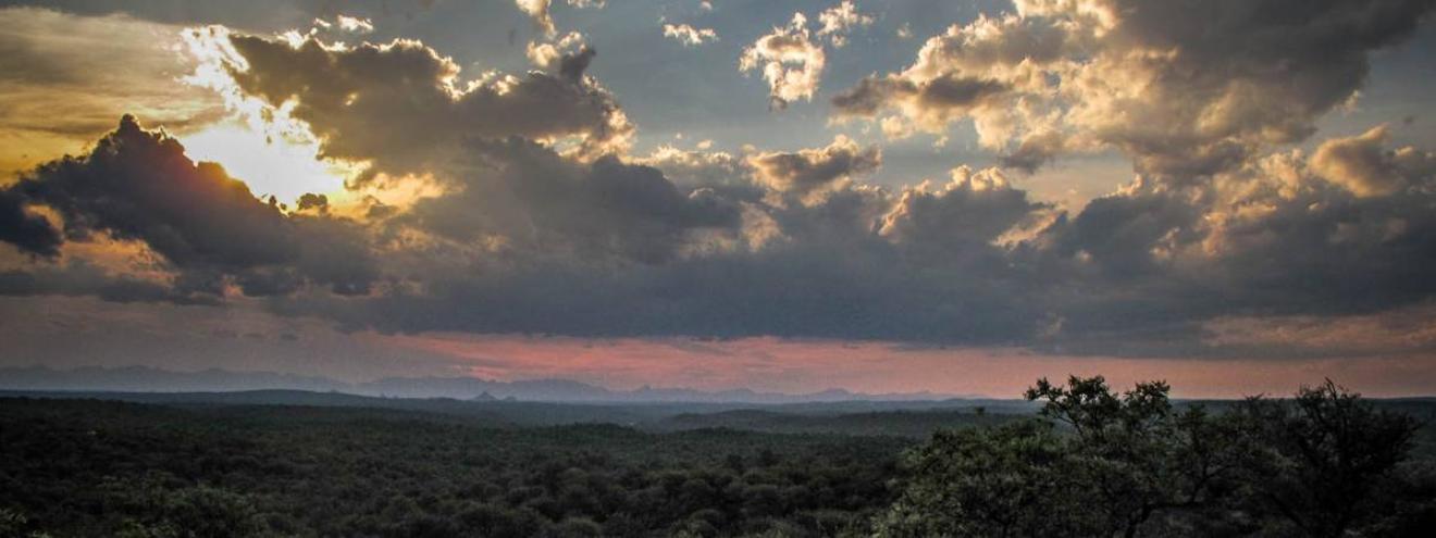 Kruger National Park landscape scenery African bushveld South Africa