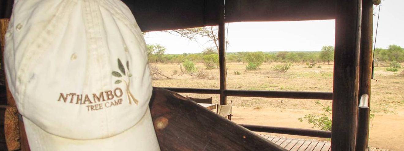 nThambo Tree Camp Klaserie Game Reserve Greater Kruger South Africa safari