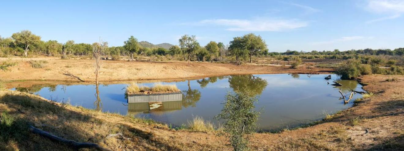 Jaci's Terrapin Hide underground photographic hide water level Madikwe South Africa