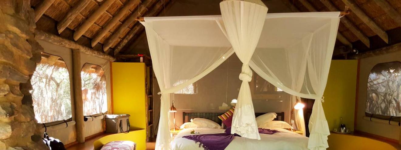 Jaci's Safari Lodge top family safari lodge Madikwe Game Reserve South Africa