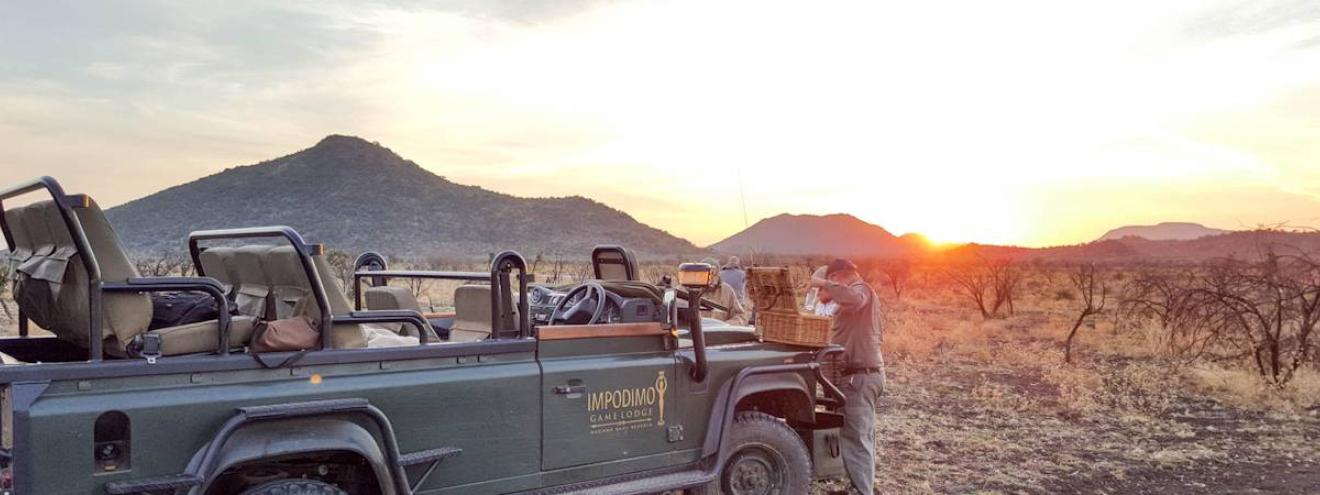 Safari game drive Madikwe Game Reserve malaria-free Big Five South Africa