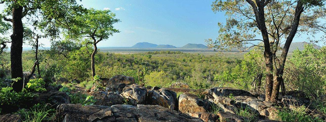 Buffalo Ridge Safari Lodge community-owned safari lodge Madikwe Game Reserve