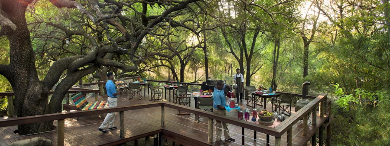Jaci's Safari Lodge five-star family safari lodge Madikwe Game Reserve South Africa