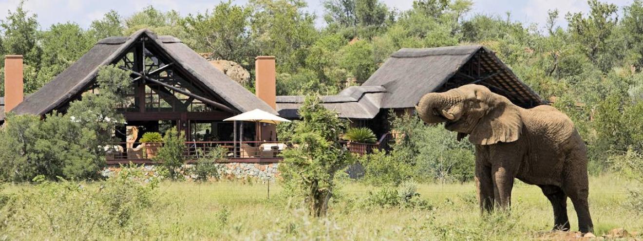 Mateya Safari Lodge five-star luxury safari lodge Madikwe Game Reserve South Africa