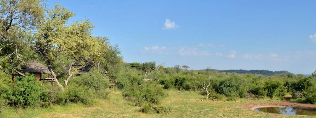 Motswiri Safari Lodge exclusive safari lodge Madikwe Game Reserve South Africa