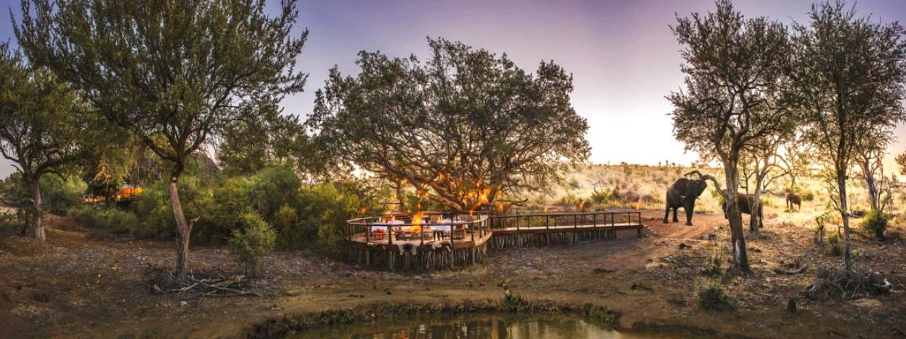 Tuningi Safari Lodge intimate luxury safari lodge Madikwe Game Reserve South Africa